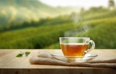 Ceaiul care tratează diabetul și scade colesterolul
