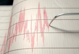 Două cutremure în Vrancea, produse în mai puțin de 12 ore