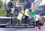 DJ 208C Mesteacan - Vorona   (1)