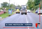 DJ 208C Mesteacan - Vorona  (5)