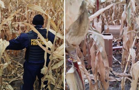 Contrabandist reţinut de către poliţiştii de frontieră în timp ce îşi abandona baxurile cu țigări în lanul de porumb