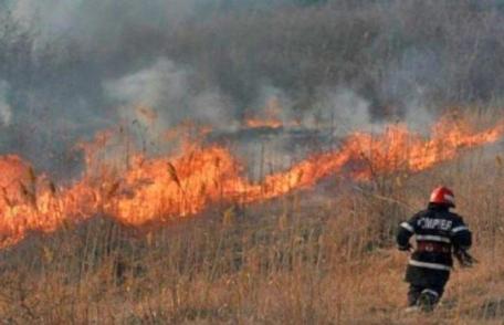 Patru incendii de vegetație uscată în mai puțin de patru ore