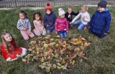 Ziua Recoltei sărbătorită în curtea Grădiniței cu Program Normal „Prichindeii” Brăești - FOTO