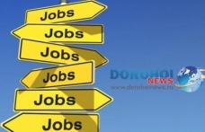 447 locuri de muncă vacante în Spaţiul Economic European 