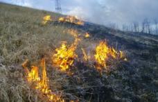 Apelul Primăriei Municipiului Dorohoi către locuitori privind interzicerea arderii vegetației uscate