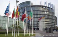 Parlamentul European caută stagiari care să învețe, timp de 5 luni, ce înseamnă să lucrezi într-o instituție europeană