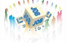 Peste 700 de locuri de muncă vacante, prin AJOFM, pe piața muncii din județul Botoșani
