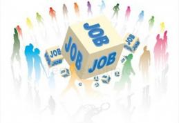 Peste 700 de locuri de muncă vacante, prin AJOFM, pe piața muncii din județul Botoșani