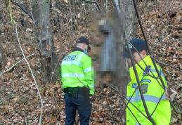 Bărbat decedat de cel puțin 6 luni găsit într-o pădure de la marginea Sucevei