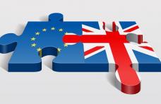 Alegătorii britanici vor să revină în UE
