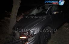 Mașină izbită într-un copac pe drumul Dorohoi - Botoșani - FOTO