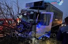 Accident în apropiere de Dumbrăvița! Un camion s-a izbit într-un copac de pe marginea drumului - FOTO