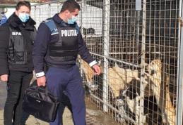 Controale efectuate de polițiștii din cadrul biroului pentru protecția animalelor