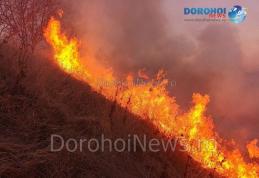 Incendiu de vegetație izbucnit la Văculești. Pompierii dorohoieni au intervenit de urgență - FOTO