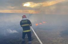 Incendiu de vegetație uscată în zona Cornișa de la marginea municipiului Botoșani - FOTO
