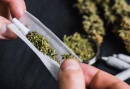 Tânăr cercetat pentru consum de cannabis 
