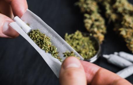 Tânăr cercetat pentru consum de cannabis 