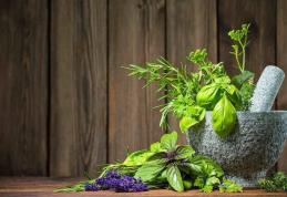 Tratamente din plante pentru o digestie sănătoasă