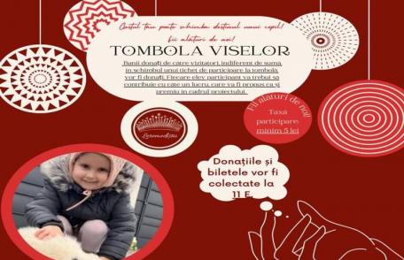 Tombola Viselor - Liceul „Regina Maria” Dorohoi lansează un apel umanitar!