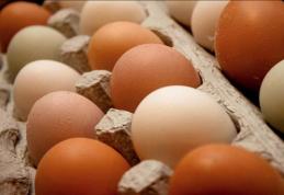 Cele mai cunoscute mituri despre consumul de ouă