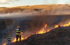 Trei case au fost în pericol din cauza a două incendii de vegetație uscată la Carasa și Mateieni – FOTO