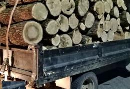 Transport ilegal de lemne depistat de polițiștii botoșăneni