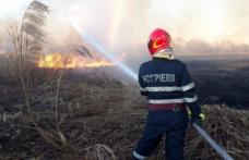 Peste 60 hectare de vegetație distruse duminică, în incendii