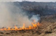 Zece incendii în județul Botoșani în ultimele 24 de ore