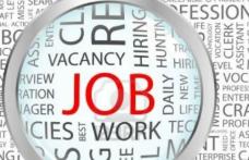 636 locuri de muncă vacante în județul Botoșani în această săptămână