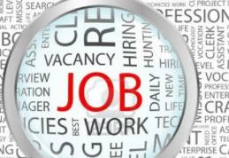 636 locuri de muncă vacante în județul Botoșani în această săptămână