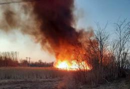 Alte 22 de incendii de vegetație în județ. Pompierii botoșăneni au intervenit
