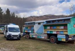Registrul Auto Român, acțiuni pentru sprijinirea apicultorilor și deținătorilor de tractoare și utilaje agricole - FOTO