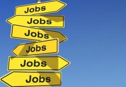 AJOFM anunță peste 400 de locuri de muncă vacante în Uniunea Europeană