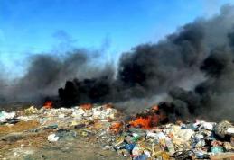 Primăria Dorohoi: OUG adoptată de Guvernul României privind abandonarea și incendierea deșeurilor