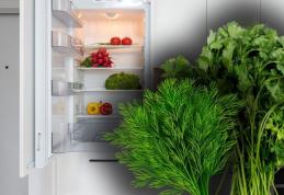 Secretul pentru a păstra verdețurile proaspete în frigider. Trucul e genial, cum să le pui