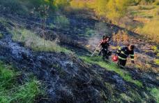Vegetația uscată de pe zece hectare mistuită de flăcări la Dersca