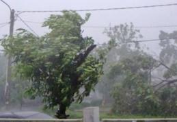 Furtuna a făcut ravagii în Iași și Neamț. Copaci căzuţi pe şosele, localităţi fără curent electric şi circulaţie rutieră îngreunată