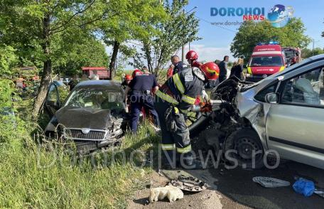 Accident la Loturi Enescu! Trei adulți și șapte copii au ajuns la spital după impactul dintre două mașini - FOTO