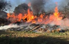 Incendiu puternic la Brăești! Un saivan, o magazie și 70 de tone de furaje au fost distruse de foc - FOTO