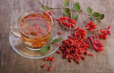 Beneficii terapeutice ale ceaiului de fructe goji