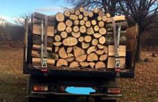 Transportul ilegal de lemn vine cu amenzi şi cu confiscarea materialului lemnos