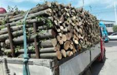 Amendă și material lemnos confiscat în urma unui control de rutină