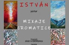 Expoziția MIXAJE CROMATICE a artistului Miklós István – Indián găzduită de Muzeul Județean Botoșani