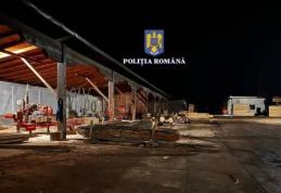 Percheziții uriașe în toată România! Poliția Română s-a mobilizat în două dosare de spălarea banilor, tăiere fără drept de arbori şi delapidare