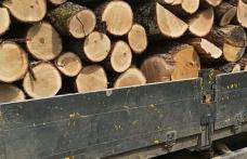 Un tânăr a fost sancționat de polițiști și a rămas fără lemnul pe care îl transporta