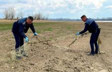 Acțiune a polițiștilor botoșăneni: Amenzi și unelte de pescuit confiscate în zona lacului Stânca-Costești
