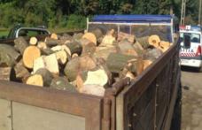 Două transporturi ilegale de lemn confiscate de polițiștii botoșăneni