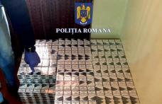 Percheziții în Dorohoi și cinci comune! Două persoane reținute și peste 35.000 de pachete de țigarete confiscate