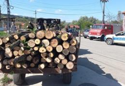 Amendă și material lemnos confiscat de Polițiștii din Săveni