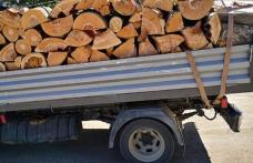Material lemnos confiscat de polițiștii din Flămânzi